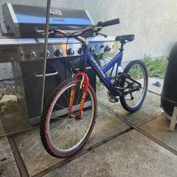 Cannondale Mountain Bike