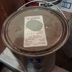 Sherwin Williams Exterior Super Paint Sage Green 1 Gallon