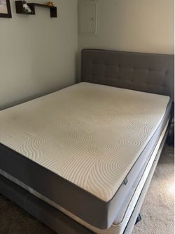 Queen bed and box springs and bed frame!