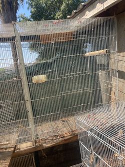 Cage