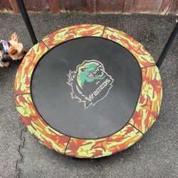 Mini Trampoline