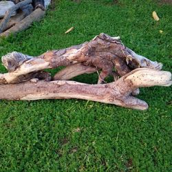 Natural Driftwood For Aquariums Terrariums Decor 