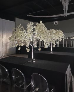 Cherry Blossom For Party 