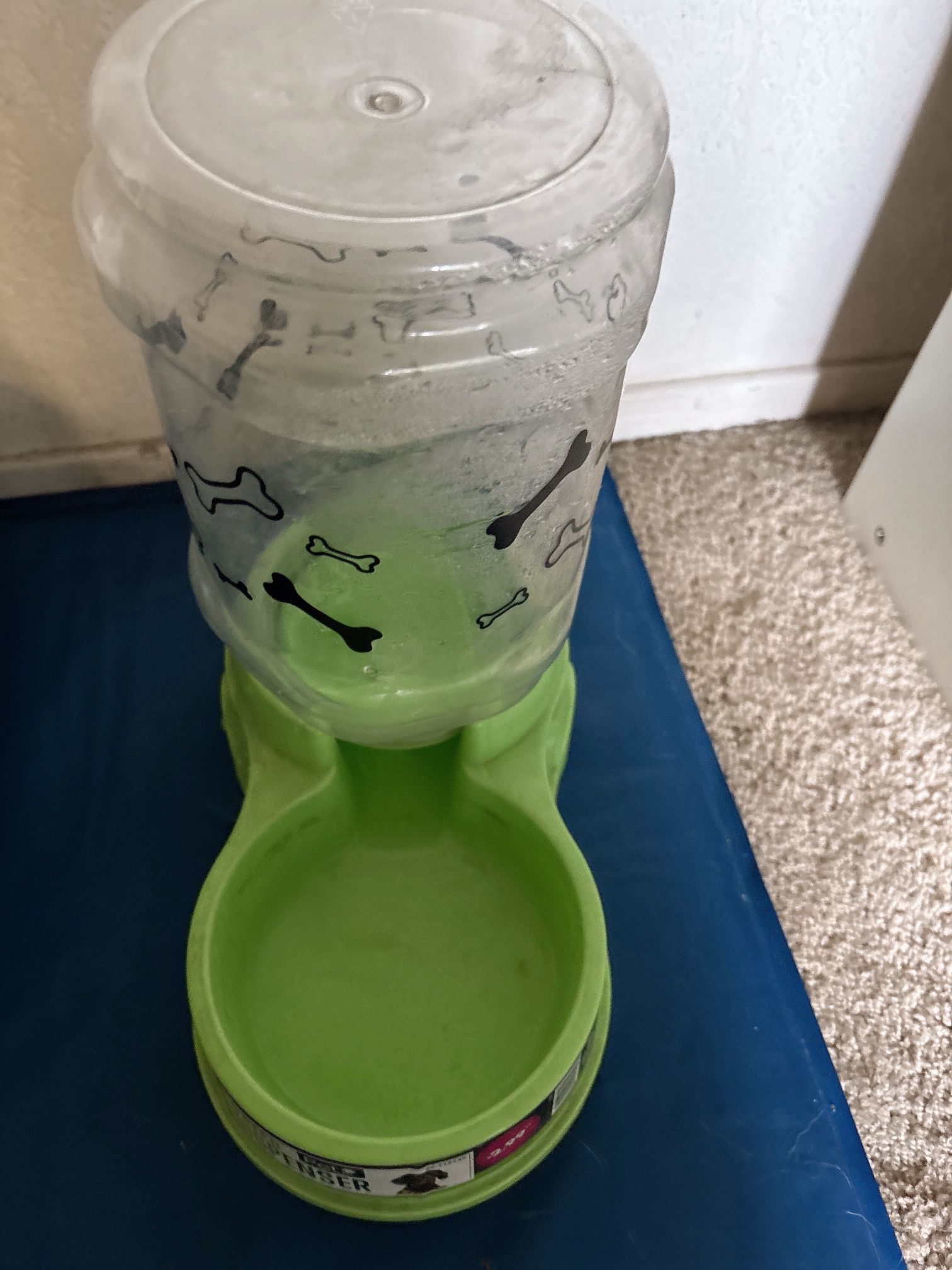 Pets Water Dispenser 