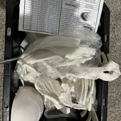 Disarticulated Human Skeleton, Full Unassembled Anatomical Model