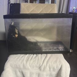 5 Or 10 Gallons Fish Tank With Filter 
