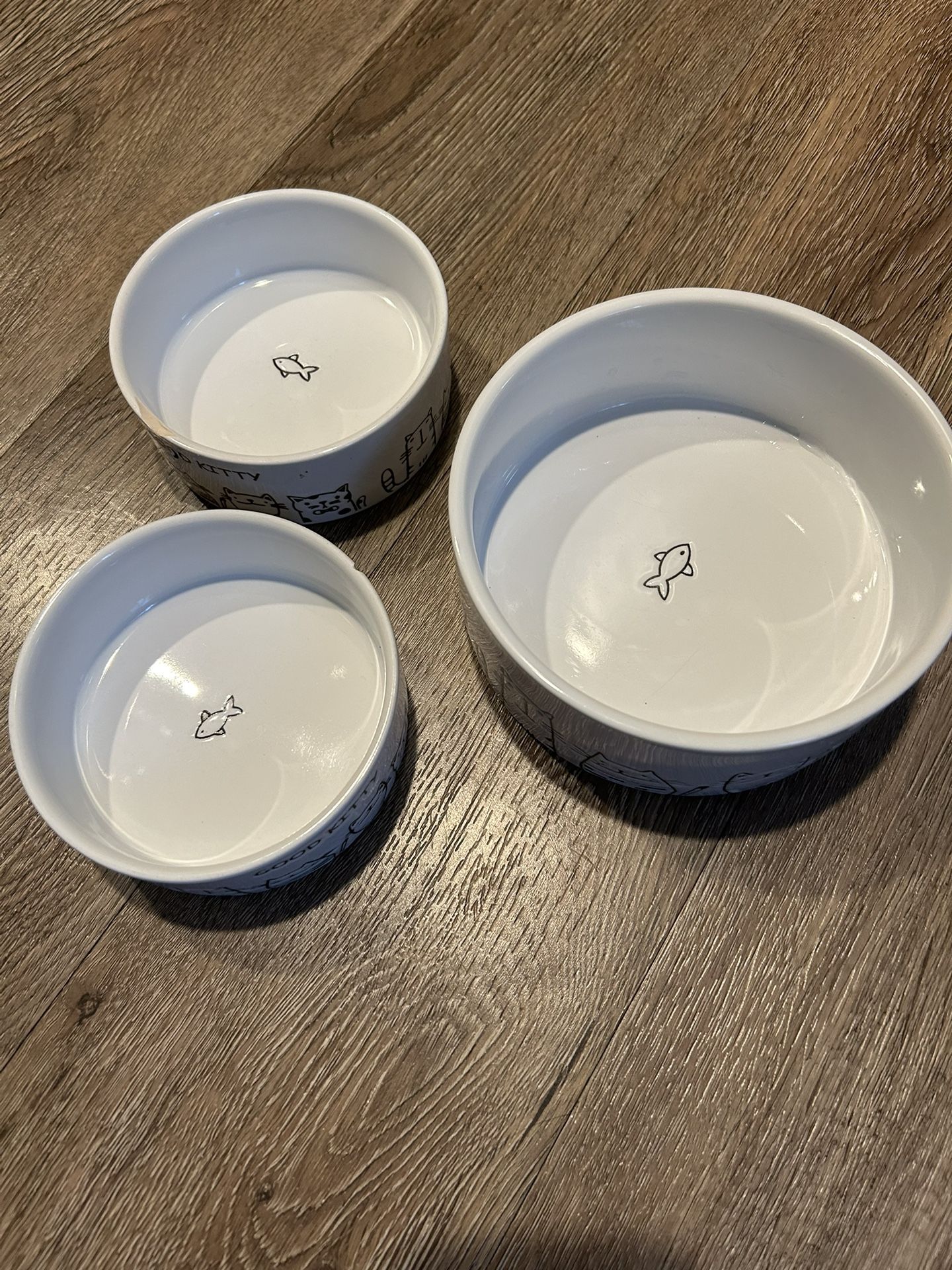 Cat Feeding Bowls