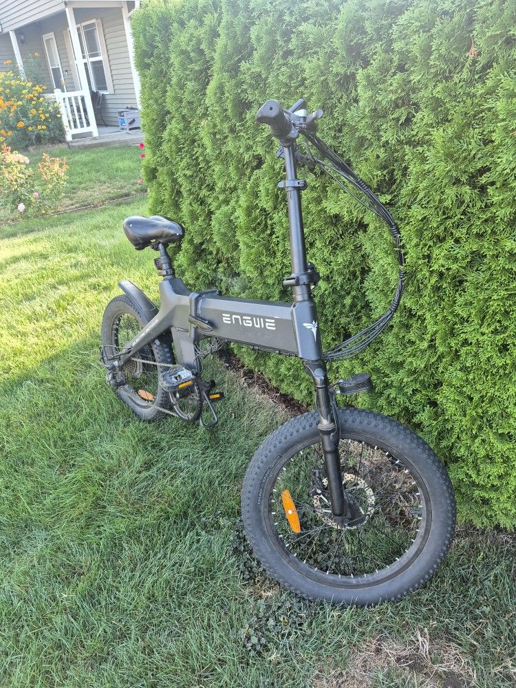Engwe Electric Bike