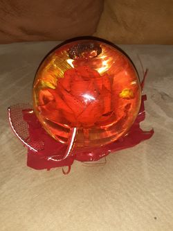 Rose for mothers day