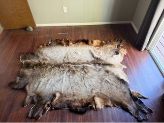 Elk hide