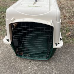 Petmate Ruffmaxx 28" Portable Dog Kennel Plastoc Pet Carrier for Dogs 20 to 30 lb, Tan/Green