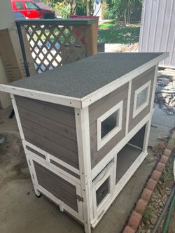 Cat House