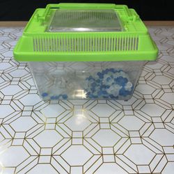 Rectangular Kritter Keeper Mini w/Green Vented Lid - Pet Holding Habitat - 7x4x5