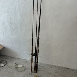 Fishing Rod