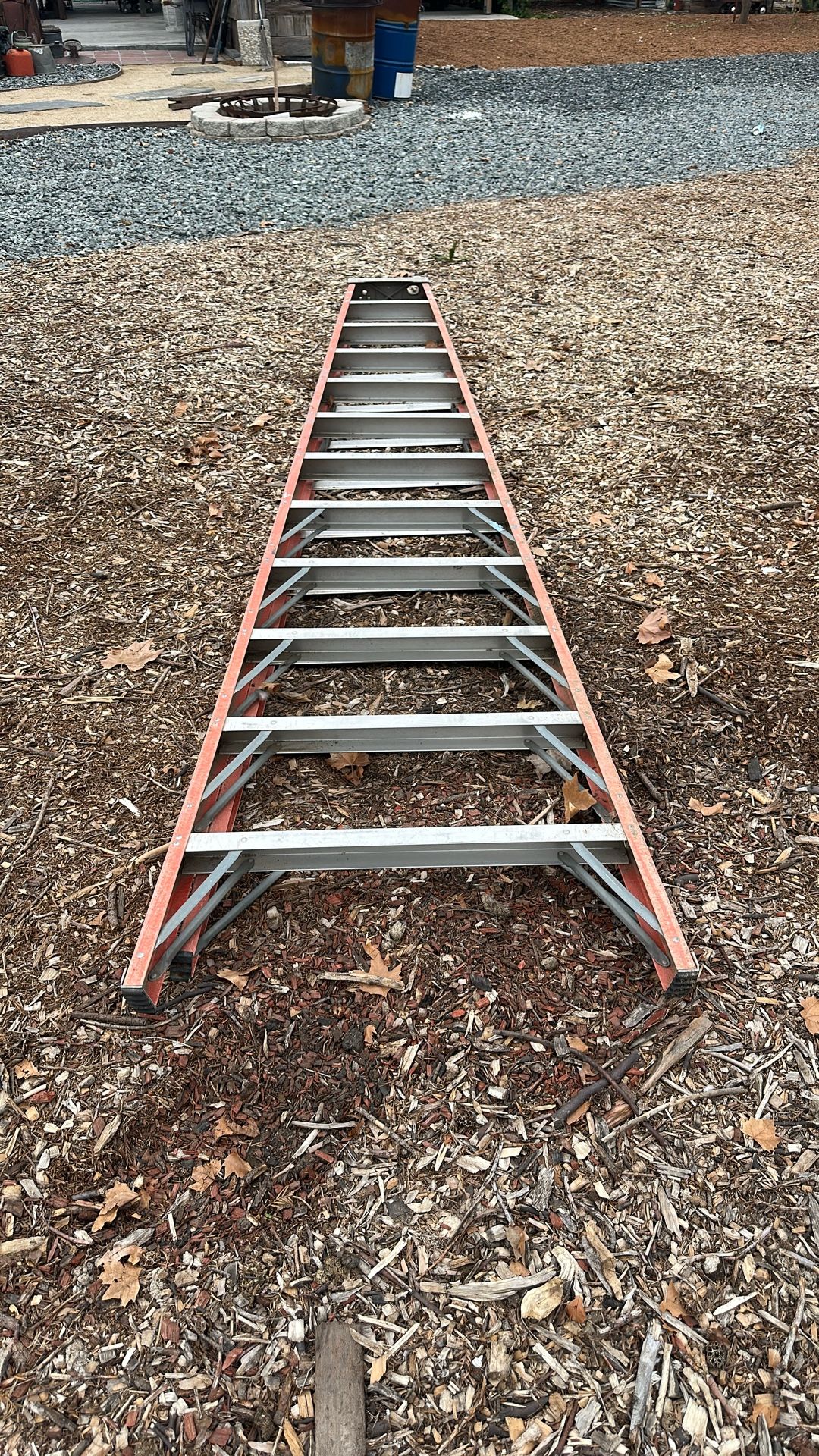 Ladder 12 Foot 