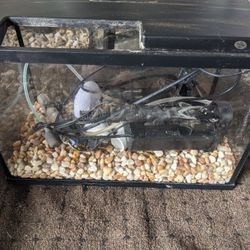 5 Gallon Fishtank