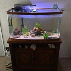 50 Gallon Fish Tank 