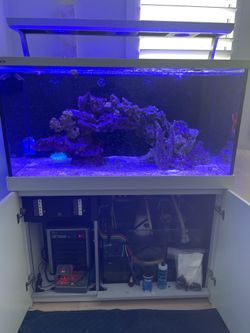 Red Sea max S500  plug and play saltwater reed aquarium