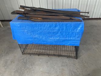 Large dog box