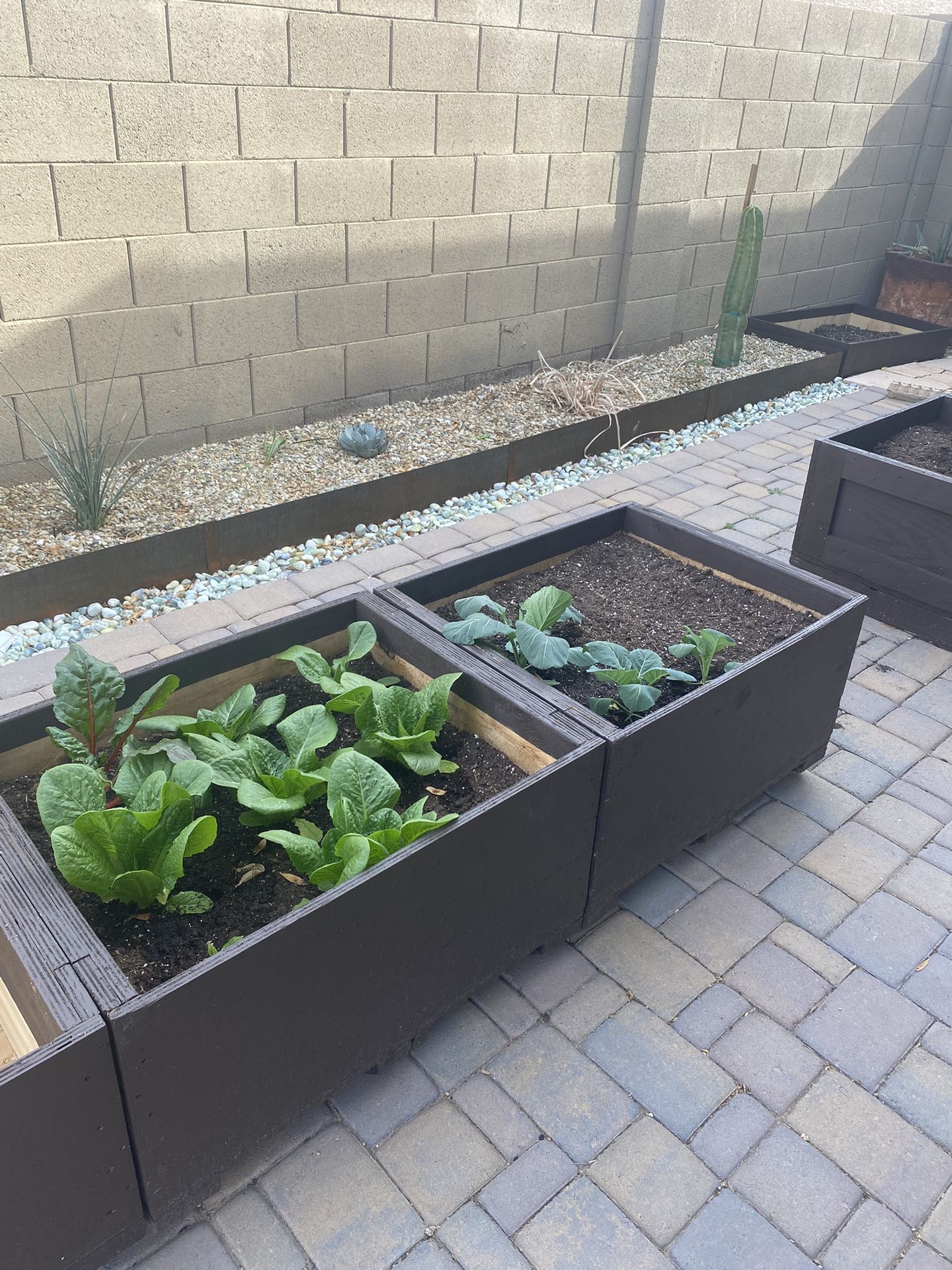Solid Wood Planters