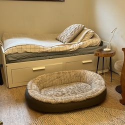 Free Dog Bed