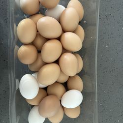 Chicken Eggs 