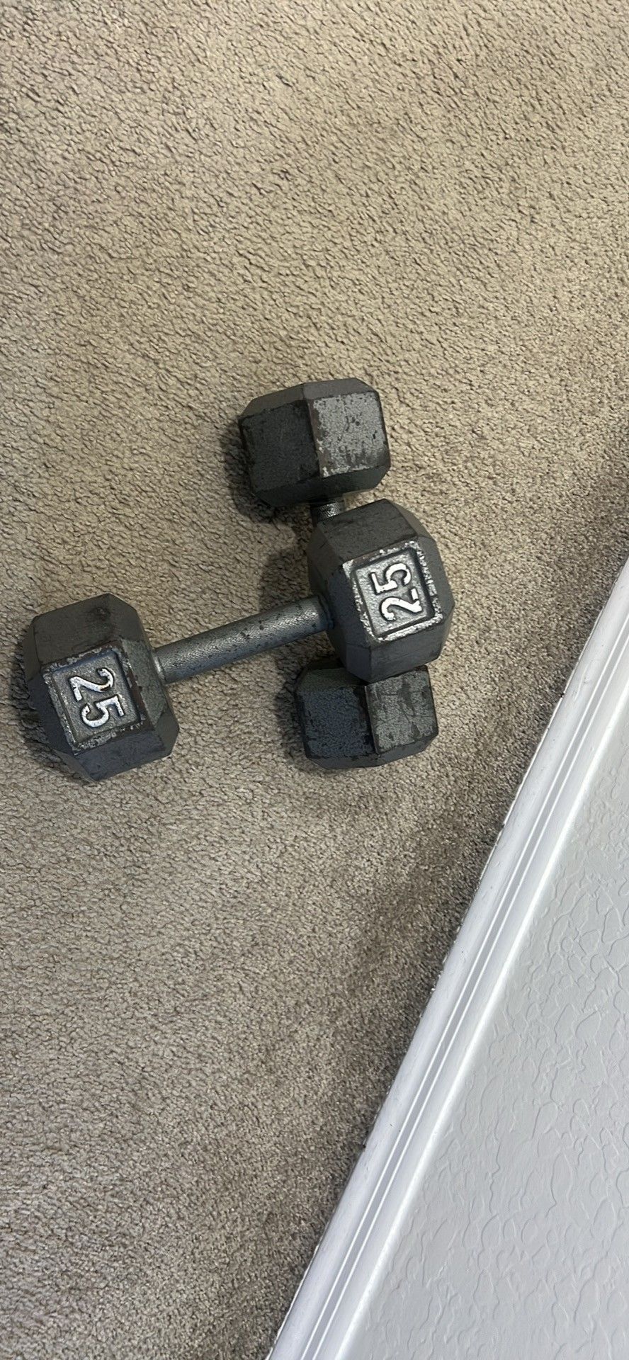 25 lbs Dumbbell Set
