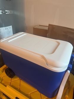 Wheeled Cooler Box