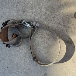 Climbing Belt