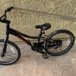 Trek Precaliber 20in Wheels