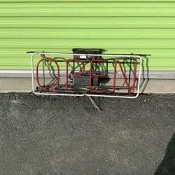 Traditional XL Neon Sign