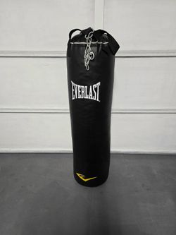 Everlast Nevatear 100 Pound Gym Kick Boxing Punching Training Heavy Bag $60