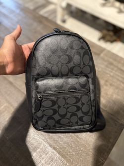 Coach Side Bag