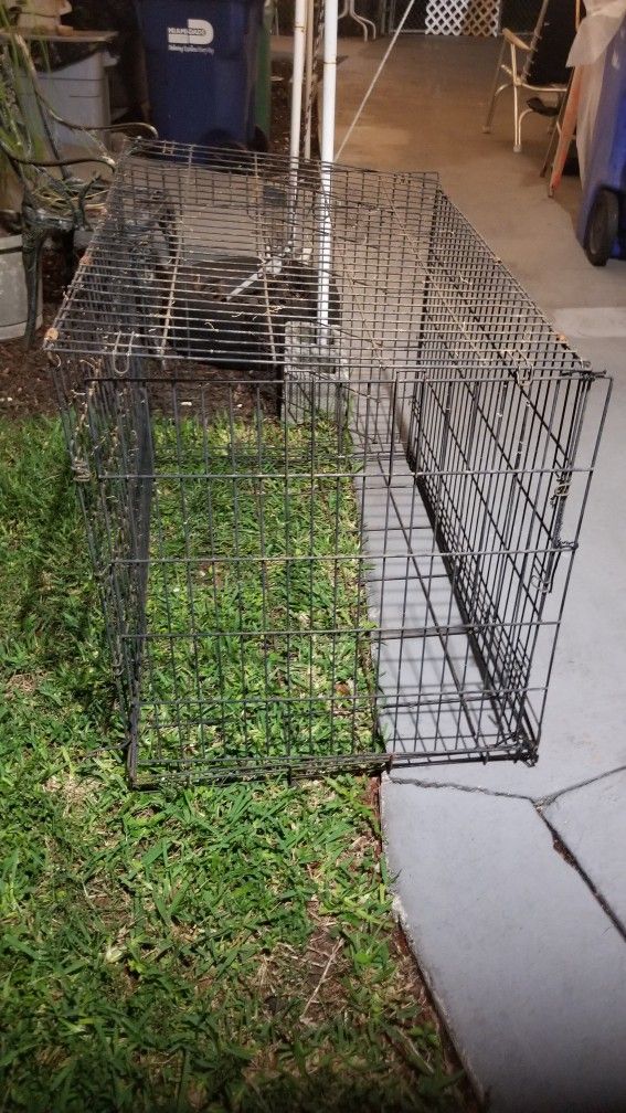 Large Animal Crate