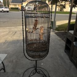 Antique Iron Bird Cage 