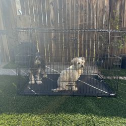 Large Dog Crate 2 Door