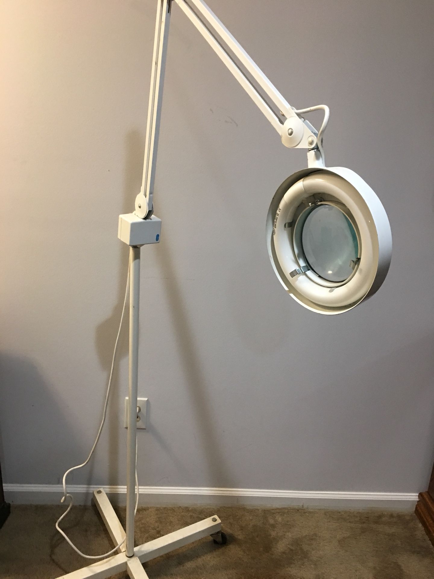 Magnifying mirror with light