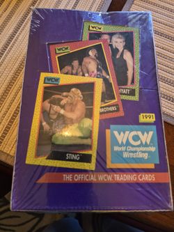 1991 WCW wrestling box