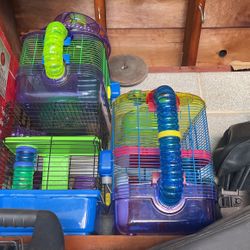 Hamsters Cage