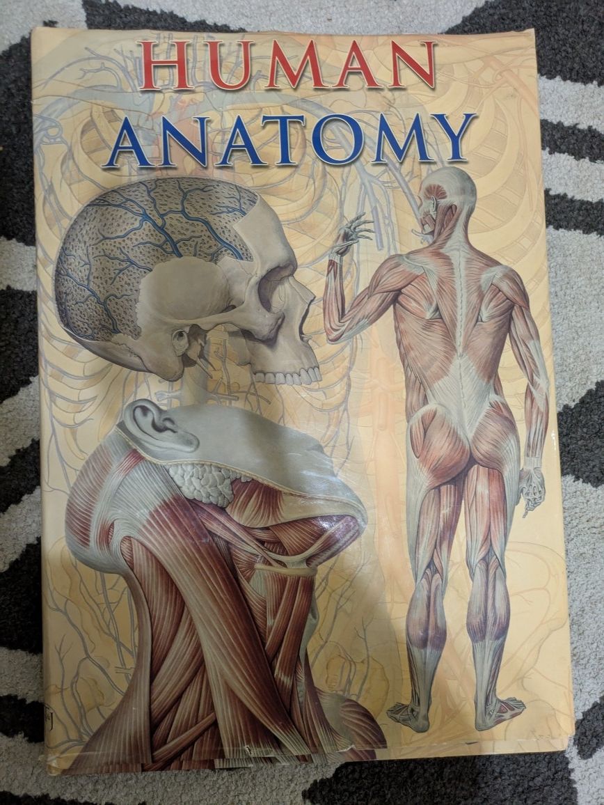 Human Anatomy Book Large