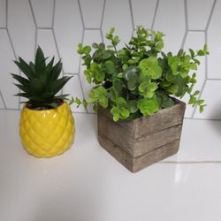 Fake Plants, Both For $10 Or $6 Each