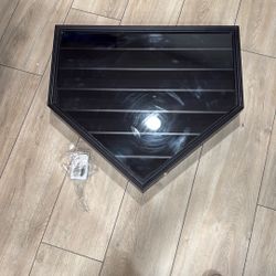 Baseball Display Case 