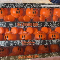 Rare Disney Parks Mickey Mouse Lights