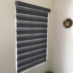 Zebra Shades 