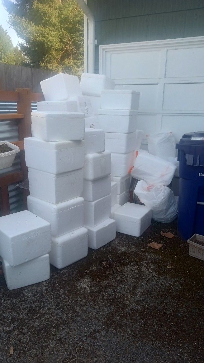 Free Styrofoam Food Boxes
