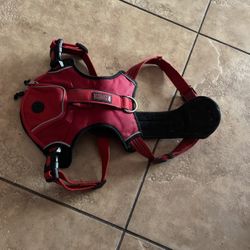 Big dog harness maybe like a bulldog