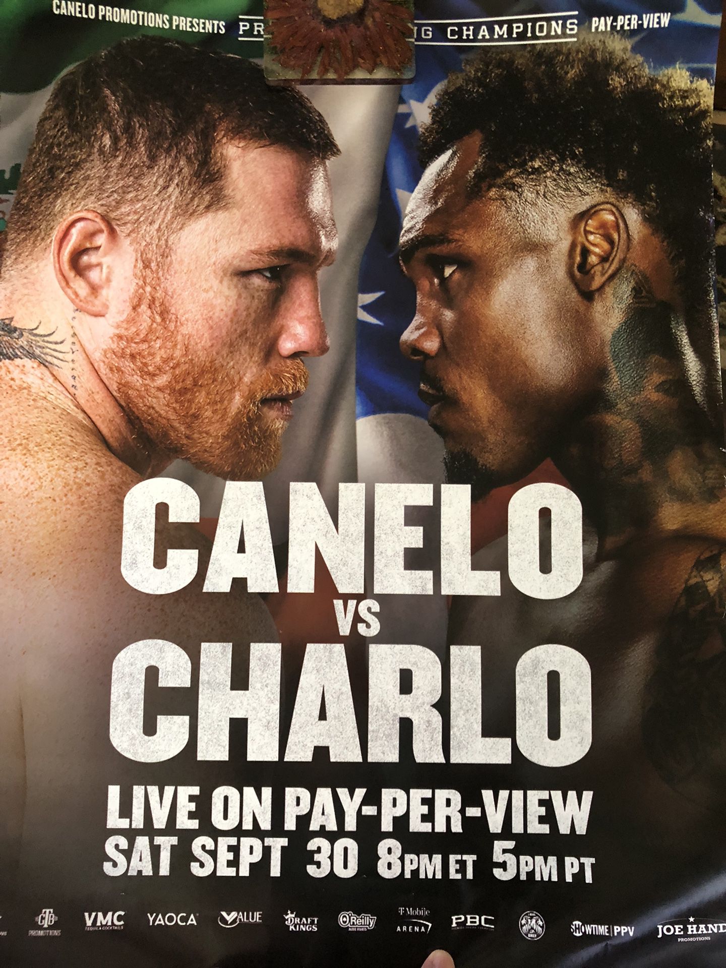 Canelo Alvarez Boxing Poster
