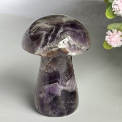 Dream Amethyst 🍄