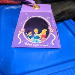 Princess Carry Wristlet Toy
