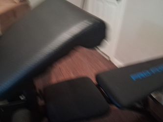 Workout Bench